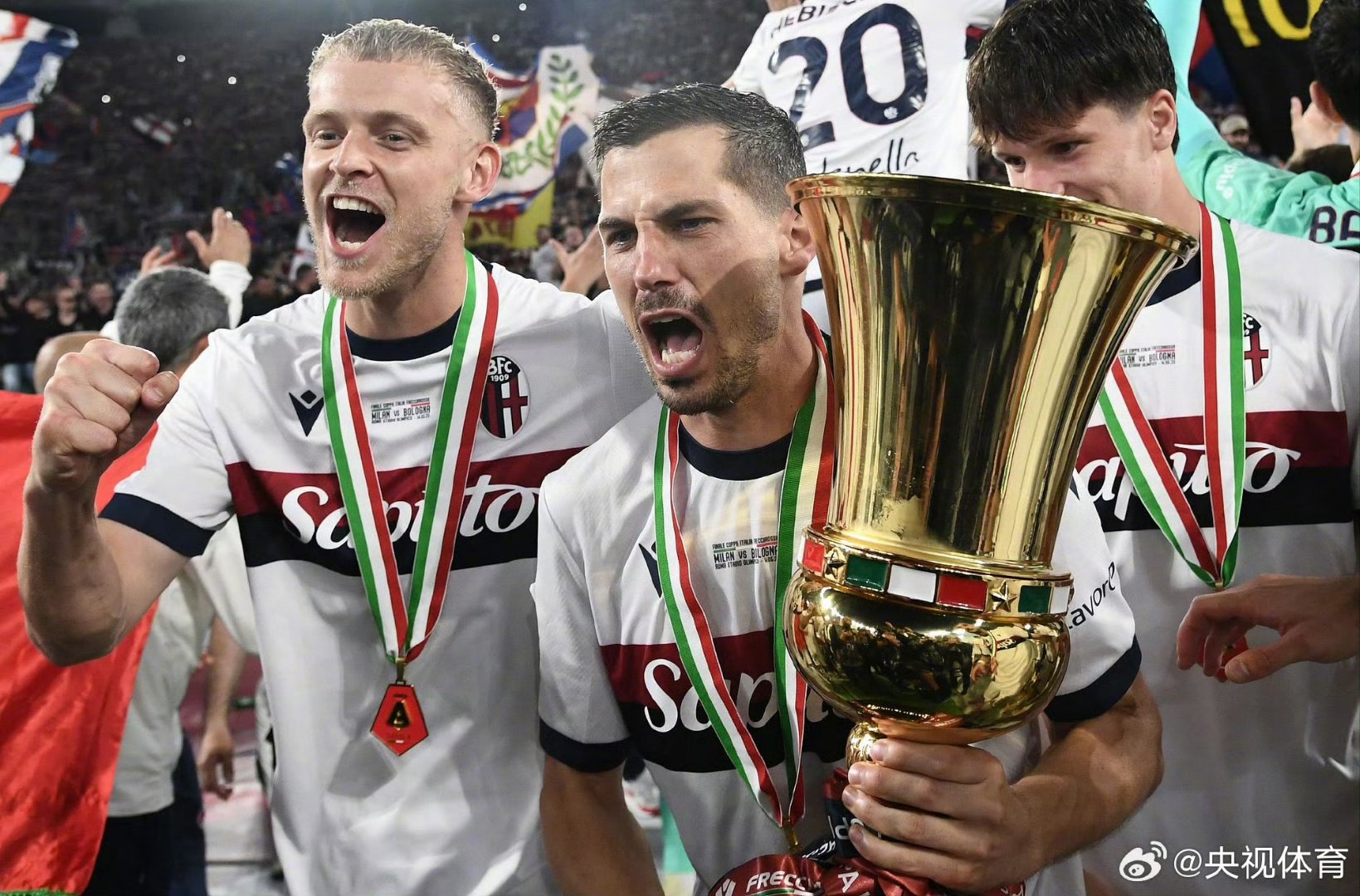 我天使的忍耐袋读者评论精选